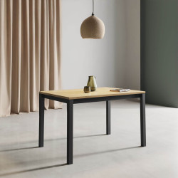 Vienna 120(200)x80 - Table...